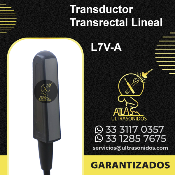 Transductor Transrectal L7V-A